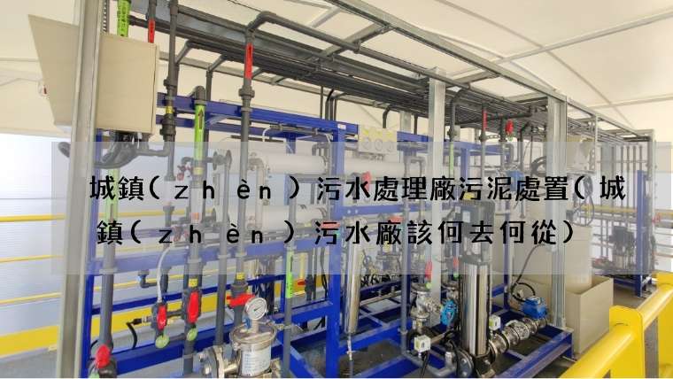 城鎮(zhèn)污水處理廠污泥處置(城鎮(zhèn)污水廠該何去何從)